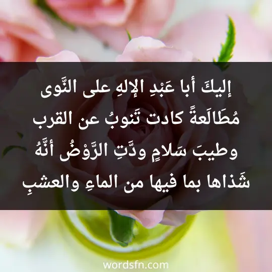 إليكَ أبا عَبْدِ الإلهِ على النَّوى مُطَالَعةً كادت تَنوبُ عن القرب وطيبَ سَلامٍ ودَّتِ الرَّوْضُ أنَّهُ شَذاها بما فيها من الماءِ والعشبِ