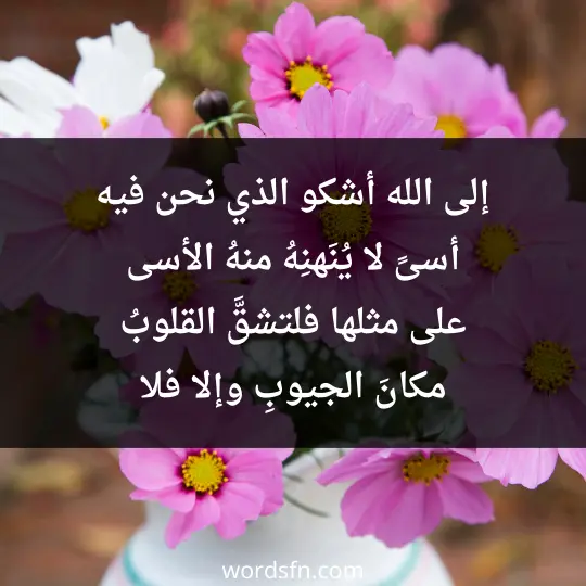 إلى الله أشكو الذي نحن فيه أسىً لا يُنَهنِهُ منهُ الأسى على مثلها فلتشقَّ القلوبُ مكانَ الجيوبِ وإلا فلا