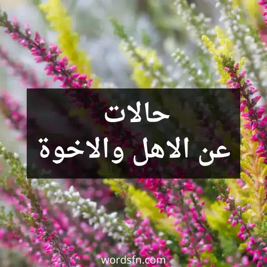 حالات عن الاهل والاخوة