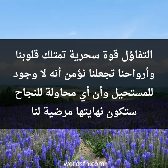 التفاؤل قوة سحرية تمتلك قلوبنا وأرواحنا، تجعلنا نؤمن أنه لا وجود للمستحيل، وأن أي محاولة للنجاح ستكون نهايتها مرضية لنا.