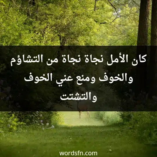 كان الأمل نجاة، نجاة من التشاؤم والخوف، ومنع عني الخوف والتشتت