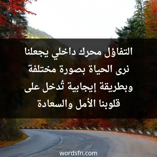 التفاؤل محرك داخلي، يجعلنا نرى الحياة بصورة مختلفة وبطريقة إيجابية تُدخل على قلوبنا الأمل والسعادة