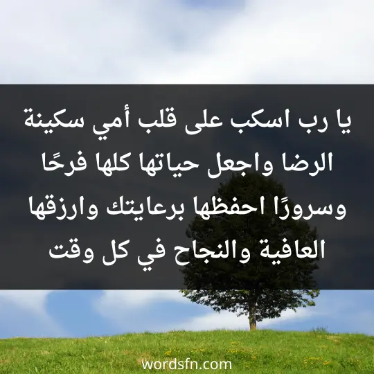 يا رب، اسكب على قلب أمي سكينة الرضا واجعل حياتها كلها فرحًا وسرورًا. احفظها برعايتك وارزقها العافية والنجاح في كل وقت