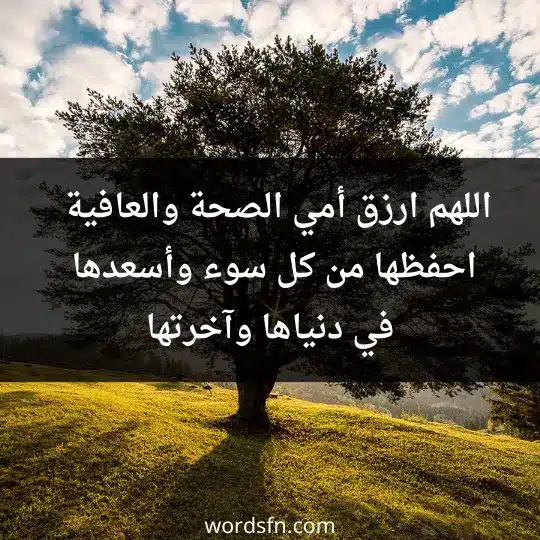 اللهم ارزق أمي الصحة والعافية ، احفظها من كل سوء وأسعدها في دنياها وآخرتها.