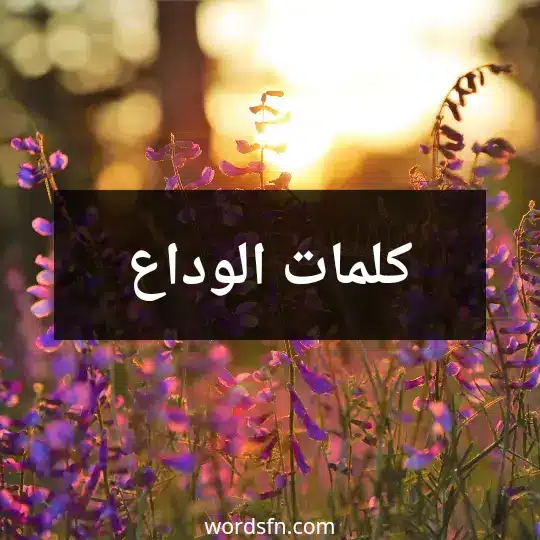 كلمات الوداع