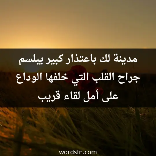مدينة لك باعتذار كبير يبلسم جراح القلب التي خلفها الوداع على أمل لقاء قريب