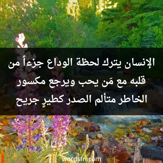 الإنسان يترك لحظة الوداع جزءاً من قلبه مع مَن يحب ويرجع مكسور الخاطر متألم الصدر كطيرٍ جريح.