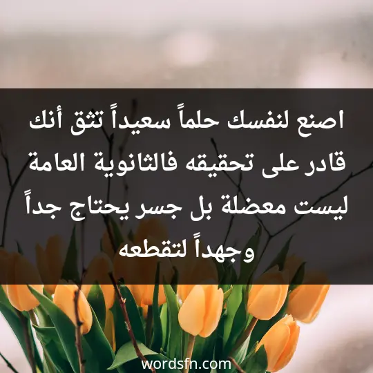 اصنع لنفسك حلماً سعيداً تثق أنك قادر على تحقيقه، فالثانوية العامة ليست معضلة بل جسر يحتاج جداً وجهداً لتقطعه