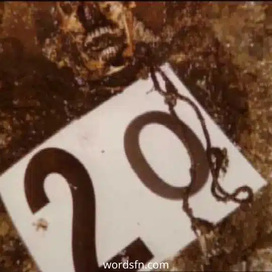 John Wayne Gacy 8 - فن العبارات أحد ضحايا جون واين جاسي المدفونين
