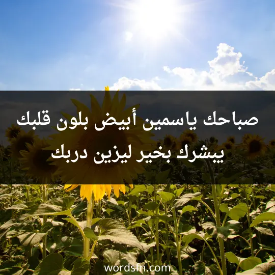 Morning masterpieces1 - فن العبارات صباحك ياسمين أبيض بلون قلبك يبشرك بخير ىيزين دربك