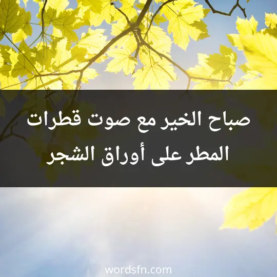 Morning masterpieces2 - فن العبارات صباح الخير مع صوت قطرات المطر على أوراق الشجر