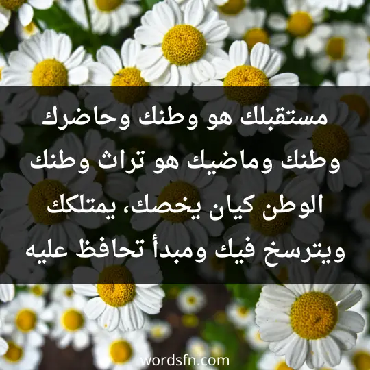 Phrases for the homeland1 - فن العبارات مستقبلك هو وطنك، وحاضرك وطنك، وماضيك هو تراث وطنك، الوطن كيان يخصك، يمتلكك، ويترسخ فيك، ومبدأ تحافظ عليه