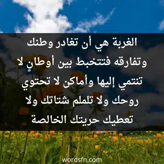 Phrases for the homeland2 - فن العبارات الغربة، هي أن تغادر وطنك وتفارقه، فتتخبط بين أوطانٍ لا تنتمي إليها، وأماكن لا تحتوي روحك، ولا تلملم شتاتك، ولا تعطيك حريتك الخالصة