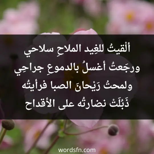 ألْقيتُ للغِيد الملاحِ سلاحي ورجَعتُ أغسلُ بالدموعِ جراحِي ولمحتُ رَيْحانَ الصبا فرأيتُه ذَبُلَتْ نضارتُه على الأقداح