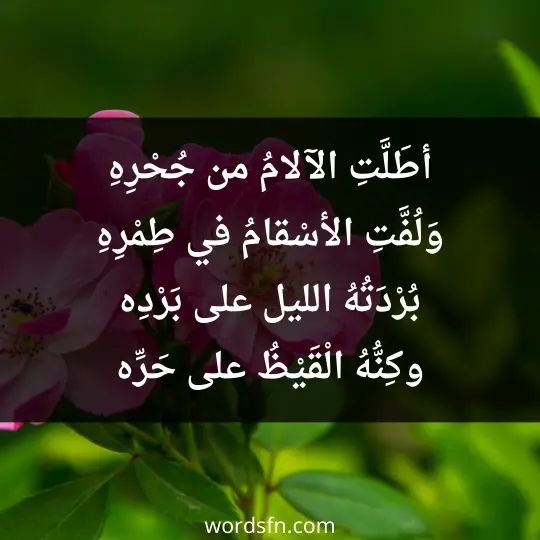 أطَلَّتِ الآلامُ من جُحْرِهِ وَلُفَّتِ الأسْقامُ في طِمْرِهِ بُرْدَتُهُ الليل على بَرْدِه وكِنُّهُ الْقَيْظُ على حَرِّه