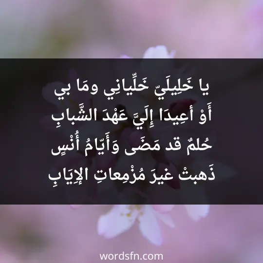 يا خَلِيلَيّ خَلِّيانِي ومَا بي أَوْ أعِيدَا إِلَيَّ عَهْدَ الشَّبابِ حُلمٌ قد مَضَى وَأَيّامُ أُنْسٍ ذَهبتْ غيرَ مُزْمِعاتِ الإِيَابِ