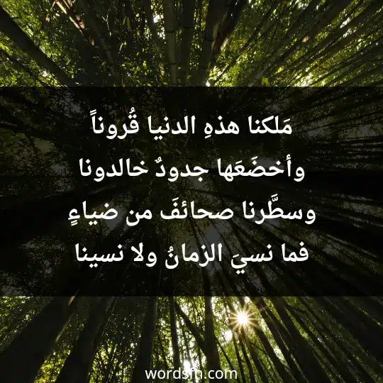 مَلكنا هذهِ الدنيا قُروناً وأخضَعَها جدودٌ خالدونا وسطَّرنا صحائفَ من ضياءٍ فما نسيَ الزمانُ ولا نسينا