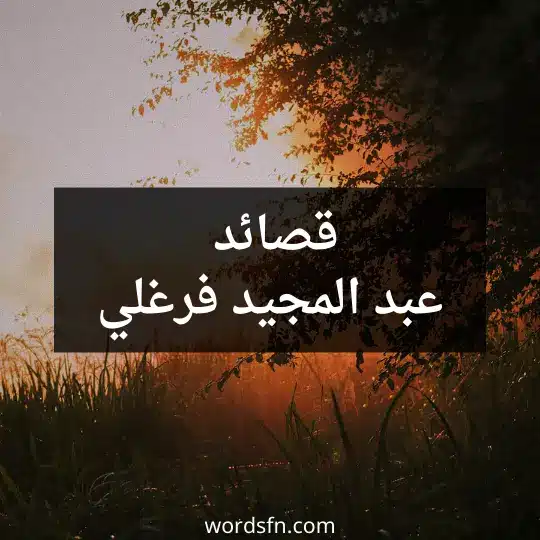 قصائد عبد المجيد فرغلي