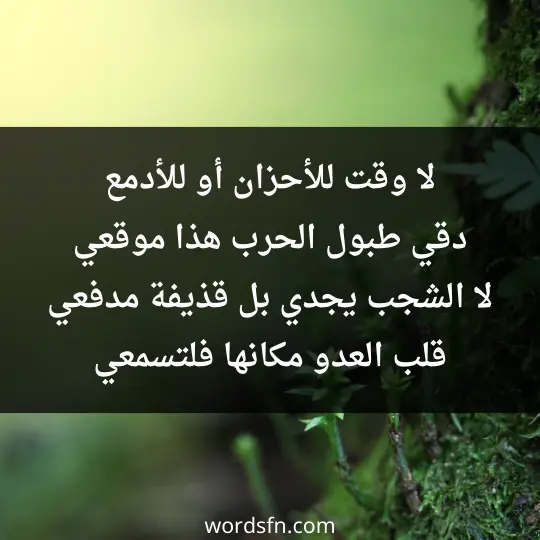 لا وقت للأحزان أو للأدمع دقي طبول الحرب هذا موقعي لا الشجب يجدي بل قذيفة مدفعي قلب العدو مكانها فلتسمعي