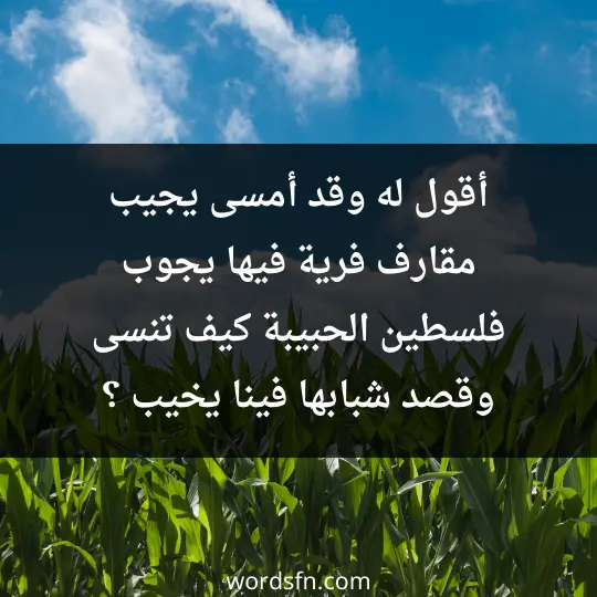 أقول له وقد أمسى يجيب مقارف فرية فيها يجوب فلسطين الحبيبة كيف تنسى وقصد شبابها فينا يخيب ؟