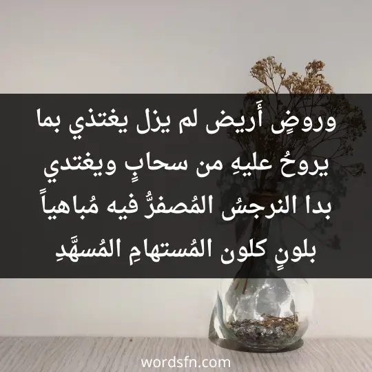 وروضٍ أَريض لم يزل يغتذي بما يروحُ عليهِ من سحابٍ ويغتدي بدا النرجسُ المُصفرُّ فيه مُباهياً بلونٍ كلون المُستهامِ المُسهَّدِ