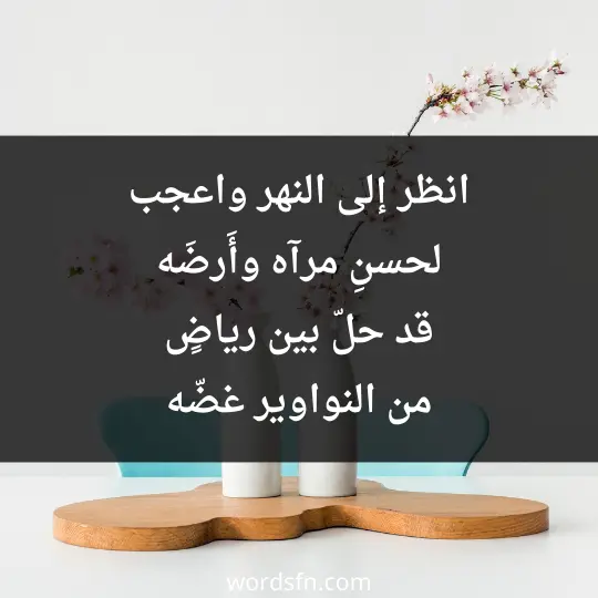 انظر إلى النهر واعجب لحسنِ مرآه وأَرضَه قد حلّ بين رياضٍ من النواوير غضّه