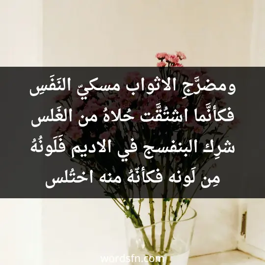 ومضرَّجِ الاثواب مسكيّ النَفَسِ فكأنَّما اشتُقَّت حُلاهُ من الغَلس شرِك البنفسج في الاديم فَلَونُهُ مِن لَونه فكأنّهُ منه اختُلس