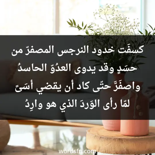 كسفَت خدود النرجس المصفرّ من حسَدٍ وقد يدوى العدُوّ الحاسدُ واصفَرَّ حتّى كاد أن يقضي أسَىً لمّا رأى الوَردَ الذي هو وارِدُ