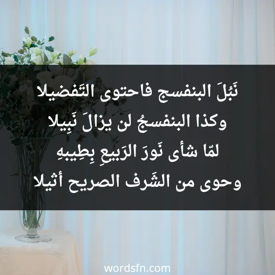 نَبُلَ البنفسج فاحتوى التَفضيلا وكذا البنفسجُ لن يزالَ نَبِيلا لمّا شأى نَورَ الرَبيعِ بِطِيبهِ وحوى من الشَرف الصريح أثيلا