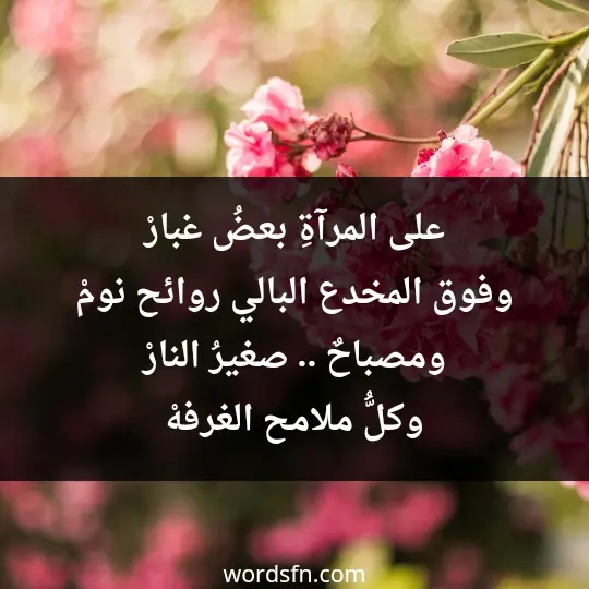 Poems of Ahmed Abdel Moati 1 - فن العبارات على المرآةِ بعضُ غبارْ وفوق المخدع البالي ، روائح نومْ ومصباحٌ .. صغيرُ النارْ وكلُّ ملامح الغرفهْ