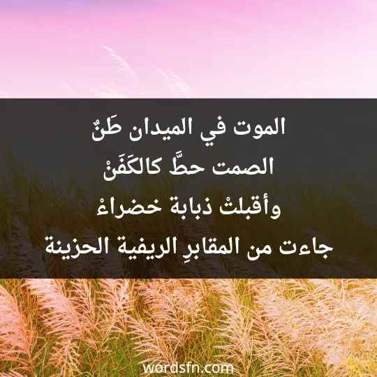 Poems of Ahmed Abdel Moati 3 - فن العبارات الموت في الميدان طَنٌ الصمت حطَّ كالكَفَنْ وأقبلتْ ذبابة خضراءْ جاءت من المقابرِ الريفية الحزينة