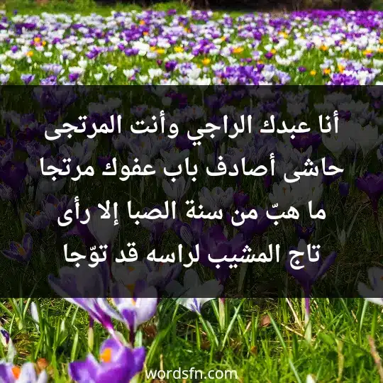 أنا عبدك الراجي وأنت المرتجى حاشى أصادف باب عفوك مرتجا ما هبّ من سنة الصبا إلا رأى تاج المشيب لراسه قد توّجا