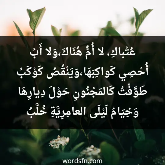 عُتْباكِ، لا أُمٌّ هُنَاكَ،وَلا أَبُ أُحْصِي كَواكِبَهَا،وَيَنْقُصُ كَوْكَبُ طَوَّفْتُ كَالمَجْنُونِ حَوْلَ دِيارِهَا وَخِيَامُ لَيْلَى العامِرِيَّةِ خُلَّبُ
