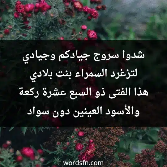 شدوا سروج جيادكم وجيادي لتزغرد السمراء بنت بلادي هذا الفتى ذو السبع عشرة ركعة والأسود العينين دون سواد