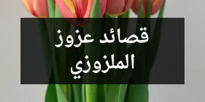 قصائد عزوز الملزوزي