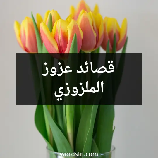 قصائد عزوز الملزوزي