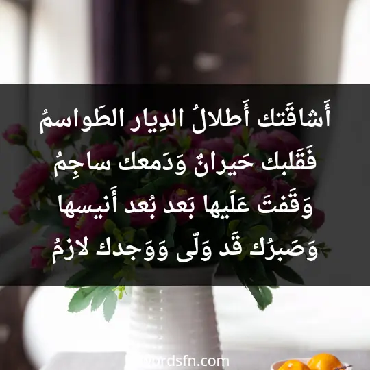 أَشاقَتك أَطلالُ الدِيار الطَواسمُ فَقَلبك حَيرانٌ وَدَمعك ساجِمُ وَقَفتَ عَلَيها بَعد بُعد أَنيسها وَصَبرُك قَد وَلّى وَوَجدك لازمُ