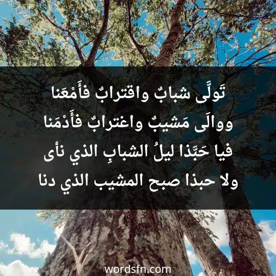 تَولَّى شبابٌ واقترابٌ فأَمْعَنا ووالَى مَشيبٌ واغترابٌ فأَدْمَنا فيا حَبَّذا ليلُ الشبابِ الذي نأى ولا حبذا صبح المشيب الذي دنا