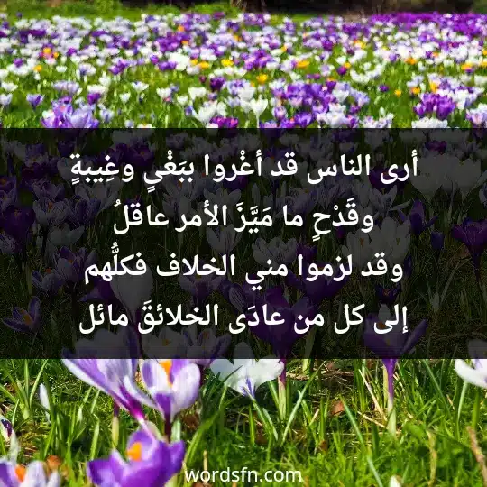 أرى الناس قد أغْروا ببَغْىٍ وغِيبةٍ وقَدْحٍ ما مَيَّزَ الأمر عاقلُ وقد لزموا مني الخلاف فكلُّهم إلى كل من عادَى الخلائقَ مائل