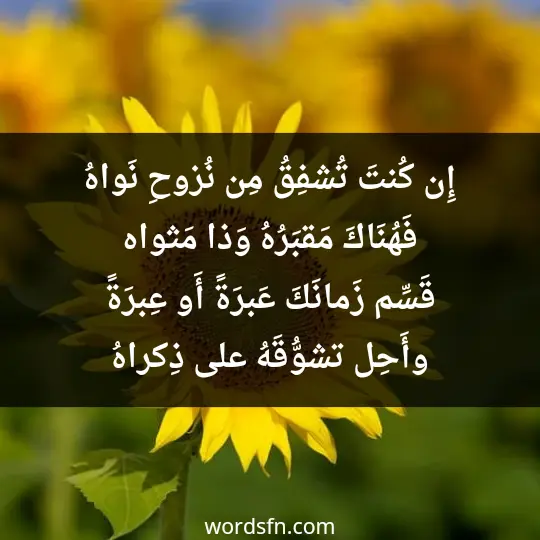 إِن كُنتَ تُشفِقُ مِن نُزوحِ نَواهُ فَهُنَاكَ مَقبَرُهُ وَذا مَثواه قَسِّم زَمانَكَ عَبرَةً أَو عِبرَةً وأَحِل تشوُّقَهُ على ذِكراهُ