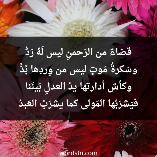قضاءٌ من الرّحمنِ ليس لَهُ رَدُّ وسَكرةُ مَوتٍ ليس من وِردِها بُدُّ وكأسٌ أدارتها يدُ العدلِ بَينَنا فيَشرَبُها المَولى كما يشرَبُ العَبدُ