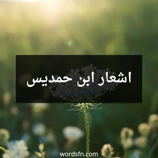 اشعار ابن حمديس
