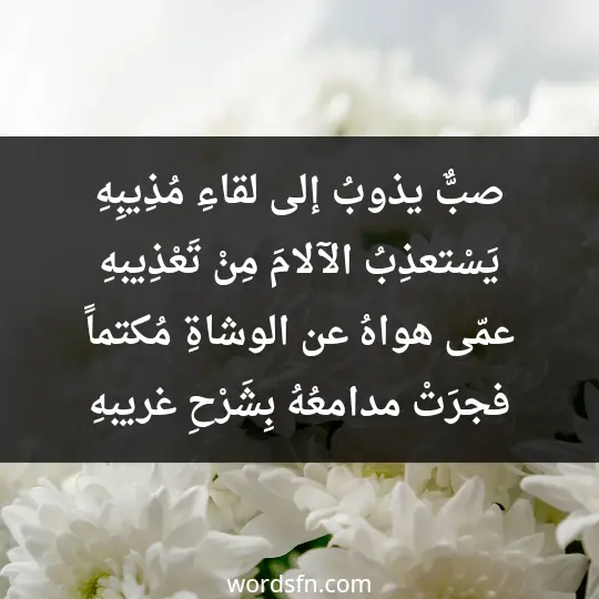 صبٌّ يذوبُ إلى لقاءِ مُذِيبِهِ يَسْتعذِبُ الآلامَ مِنْ تَعْذِيبهِ عمّى هواهُ عن الوشاةِ مُكتماً فجرَتْ مدامعُهُ بِشَرْحِ غريبهِ