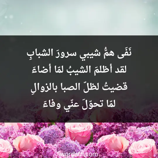 نَفَى همُّ شيبي سرورَ الشبابِ لقد أظلمَ الشيبُ لمّا أضاءَ قضيتُ لظلّ الصبا بالزوالِ لمّا تحوّلَ عنّي وفاءَ