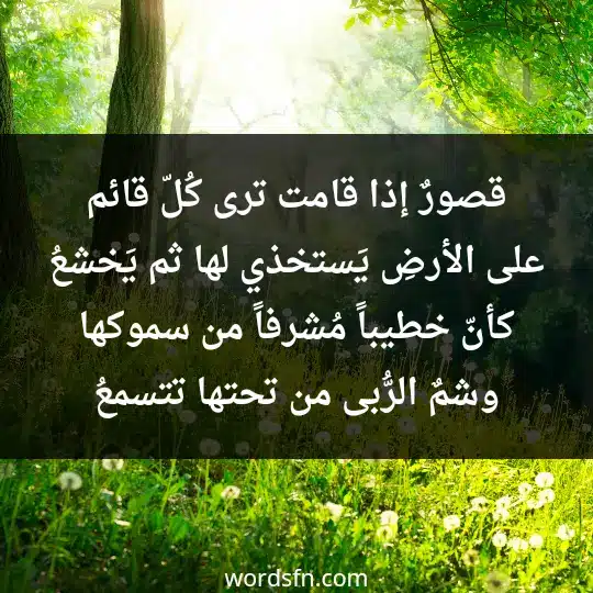 قصورٌ إذا قامت ترى كُلّ قائم على الأرضِ يَستخذي لها ثم يَخشعُ كأنّ خطيباً مُشرفاً من سموكها وشمٌ الرُّبى من تحتها تتسمعُ - فن العبارات قصورٌ إذا قامت ترى كُلّ قائم على الأرضِ يَستخذي لها ثم يَخشعُ كأنّ خطيباً مُشرفاً من سموكها وشمٌ الرُّبى من تحتها تتسمعُ