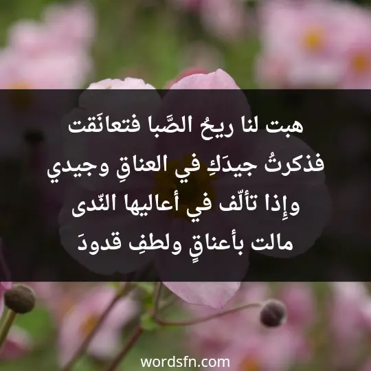 هبت لنا ريحُ الصَّبا فتعانَقت فذكرتُ جيدَكِ في العناقِ وجيدي وإِذا تألّف في أعاليها النّدى مالت بأعناقٍ ولطفِ قدودَ - فن العبارات