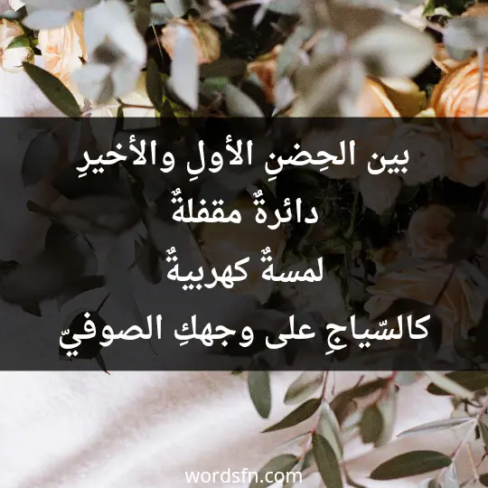 بين الحِضنِ الأولِ والأخيرِ دائرةٌ مقفلةٌ. لمسةٌ كهربيةٌ كالسّياجِ على وجهكِ الصوفيّ