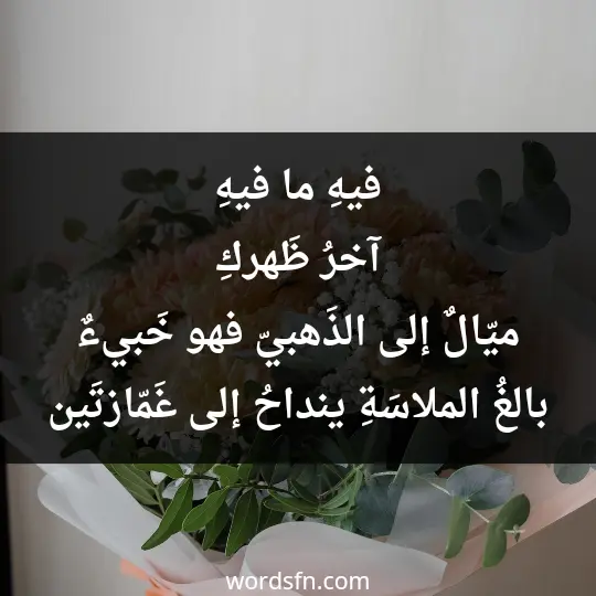 فيهِ ما فيهِ، آخرُ ظَهركِ، ميّالٌ إلى الذَهبيّ، فهو خَبيءٌ، بالغُ الملاسَةِ، ينداحُ إلى غَمّازتَين: واحدةٌ