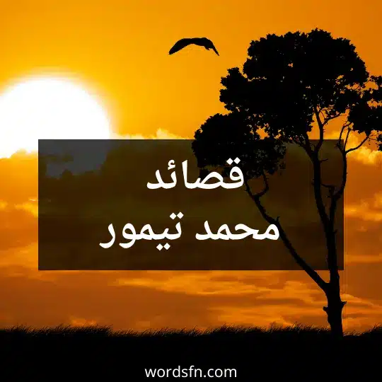 قصائد محمد تيمور