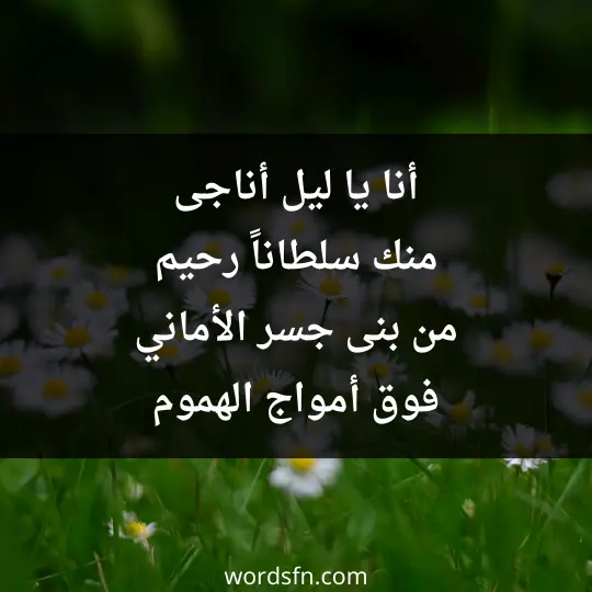 أنا يا ليل أناجى منك سلطاناً رحيم من بنى جسر الأماني فوق أمواج الهموم